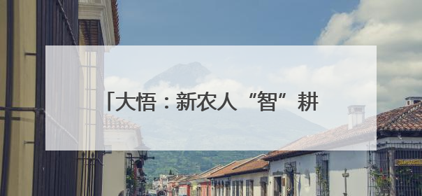 大悟：新农人“智”耕沃土 万亩稻田绿意浓