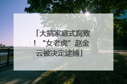 大搞家庭式腐败！“女老虎”赵金云被决定逮捕