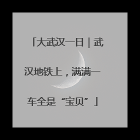 大武汉一日｜武汉地铁上，满满一车全是“宝贝”