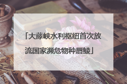 大藤峡水利枢纽首次放流国家濒危物种唇鲮