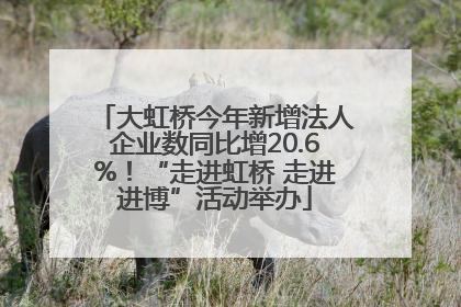 大虹桥今年新增法人企业数同比增20.6%！“走进虹桥 走进进博”活动举办