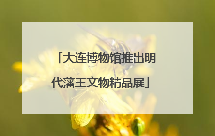 大连博物馆推出明代藩王文物精品展