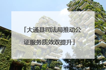 大通县司法局推动公证服务质效双提升
