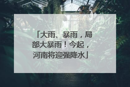 大雨、暴雨，局部大暴雨！今起，河南将迎强降水