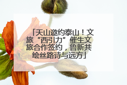 天山邀约泰山！文旅“西引力”催生文旅合作签约，鲁新共绘丝路诗与远方