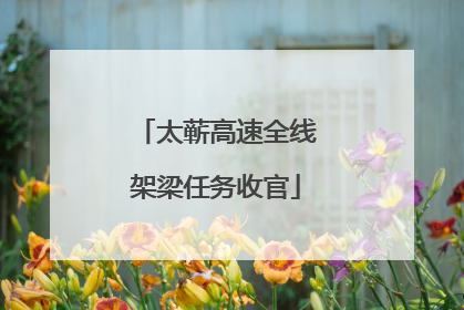 太蕲高速全线架梁任务收官