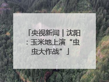 央视新闻｜沈阳：玉米地上演“虫虫大作战”