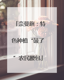 奈曼旗：特色种植“鼓了”农民腰包