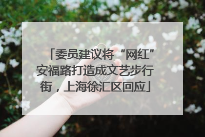 委员建议将“网红”安福路打造成文艺步行街，上海徐汇区回应