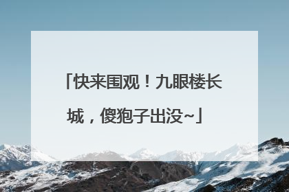 快来围观！九眼楼长城，傻狍子出没~