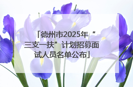 德州市2025年“三支一扶”计划招募面试人员名单公布