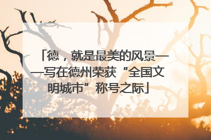 德，就是最美的风景——写在德州荣获“全国文明城市”称号之际