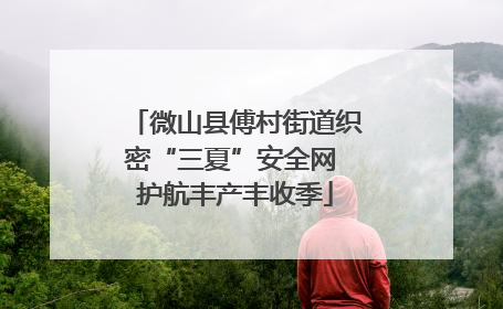 微山县傅村街道织密“三夏”安全网 护航丰产丰收季