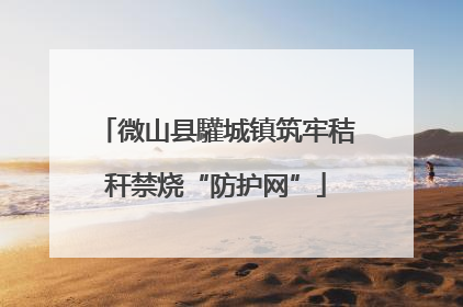 微山县驩城镇筑牢秸秆禁烧“防护网”