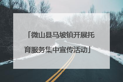 微山县马坡镇开展托育服务集中宣传活动