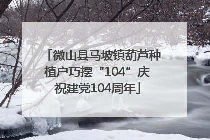微山县马坡镇葫芦种植户巧摆“104”庆祝建党104周年