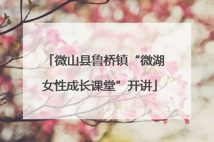 微山县鲁桥镇“微湖女性成长课堂”开讲