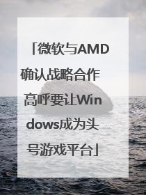 微软与AMD确认战略合作 高呼要让Windows成为头号游戏平台