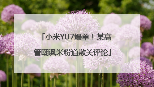 小米YU7爆单！某高管嘲讽米粉道歉关评论