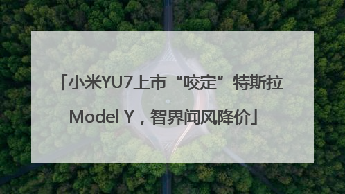 小米YU7上市“咬定”特斯拉Model Y，智界闻风降价