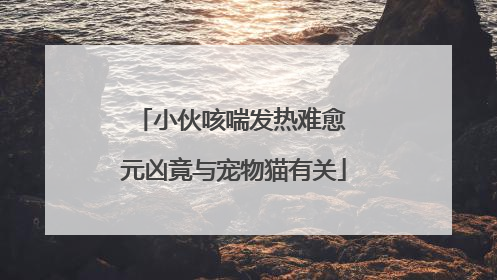 小伙咳喘发热难愈 元凶竟与宠物猫有关