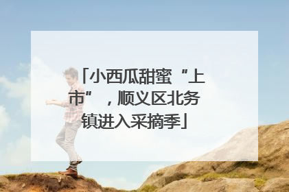 小西瓜甜蜜“上市”，顺义区北务镇进入采摘季