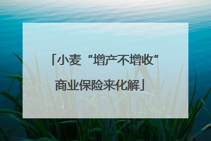 小麦“增产不增收” 商业保险来化解