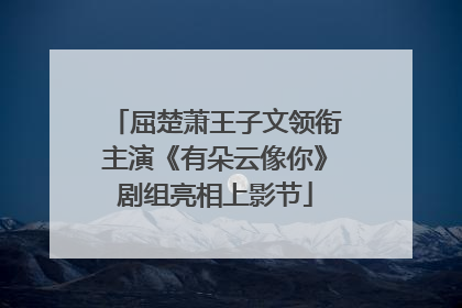 屈楚萧王子文领衔主演《有朵云像你》剧组亮相上影节