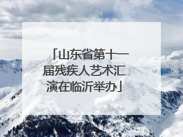 山东省第十一届残疾人艺术汇演在临沂举办