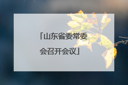 山东省委常委会召开会议