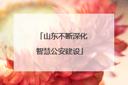 山东不断深化智慧公安建设