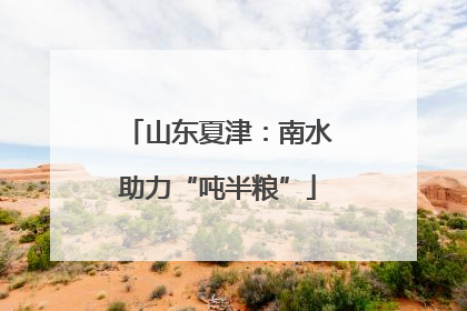 山东夏津：南水助力“吨半粮”