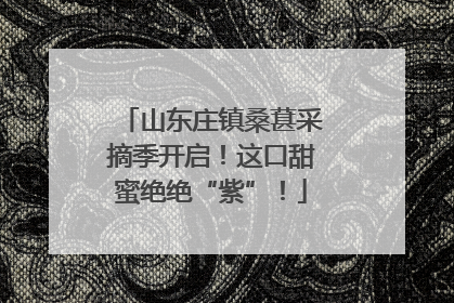 山东庄镇桑葚采摘季开启！这口甜蜜绝绝“紫”！