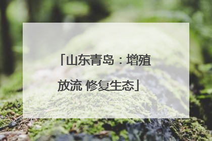 山东青岛：增殖放流 修复生态