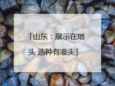 山东：展示在地头 选种有准头