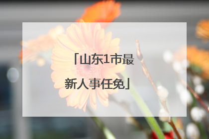 山东1市最新人事任免