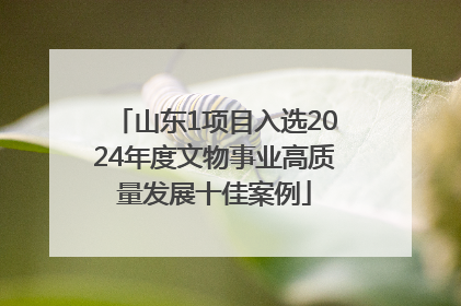 山东1项目入选2024年度文物事业高质量发展十佳案例