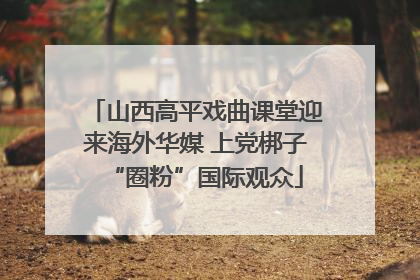 山西高平戏曲课堂迎来海外华媒 上党梆子“圈粉”国际观众