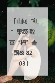 山间“红”果缀 致富“梅”香飘& 8203