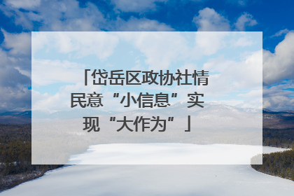 岱岳区政协社情民意“小信息”实现“大作为”