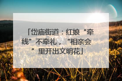岱庙街道：红娘“牵线”不牵礼，“相亲会”里开出文明花