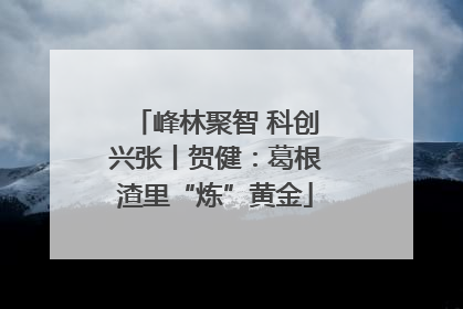 峰林聚智 科创兴张丨贺健：葛根渣里“炼”黄金