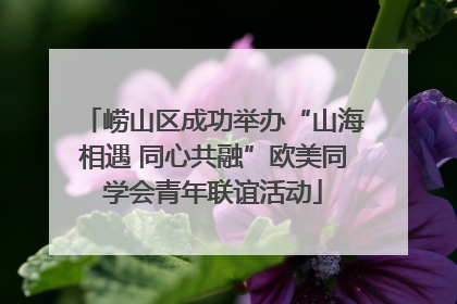 崂山区成功举办“山海相遇 同心共融”欧美同学会青年联谊活动