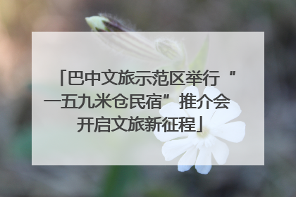 巴中文旅示范区举行“一五九米仓民宿”推介会 开启文旅新征程