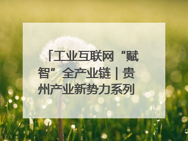 工业互联网“赋智”全产业链｜贵州产业新势力系列报道之八