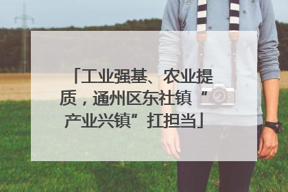 工业强基、农业提质，通州区东社镇“产业兴镇”扛担当