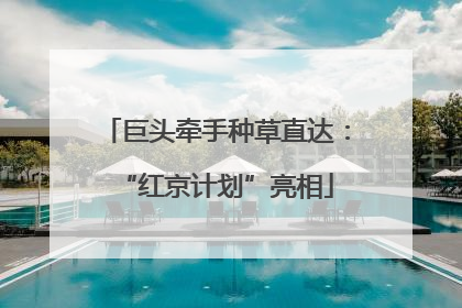 巨头牵手种草直达：“红京计划”亮相