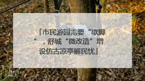市民游园需要“歇脚”，舒城“微改造”增设仿古凉亭解民忧