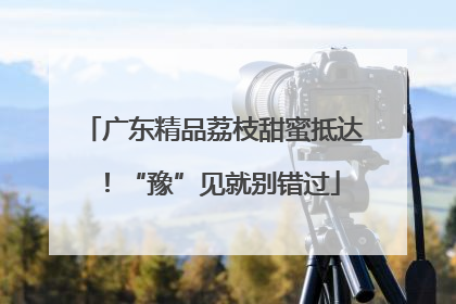 广东精品荔枝甜蜜抵达！“豫”见就别错过