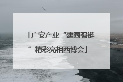 广安产业“建圈强链”精彩亮相西博会